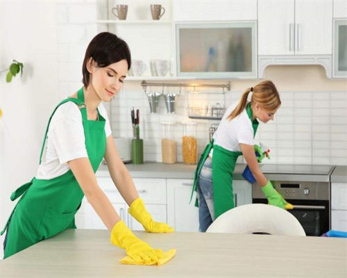 稠江月嫂服务公司与义乌福田开荒保洁 专业家政服务的全面指南